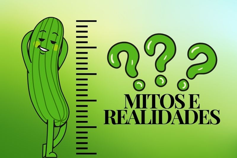 Mitos e Realidades sobre o Tamanho do Pênis