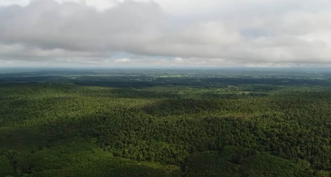 A bird's-eye view of the Amazon rainforest