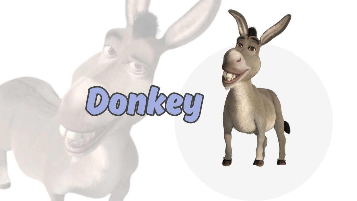 Donkey Shrek Character