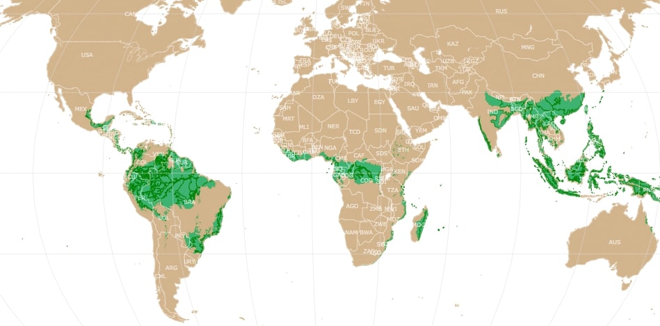 A world map with tropical rainforests marked in green