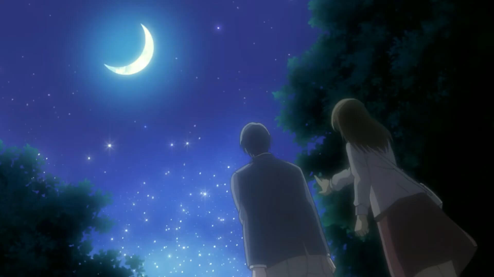 A couple in love under the moonlight