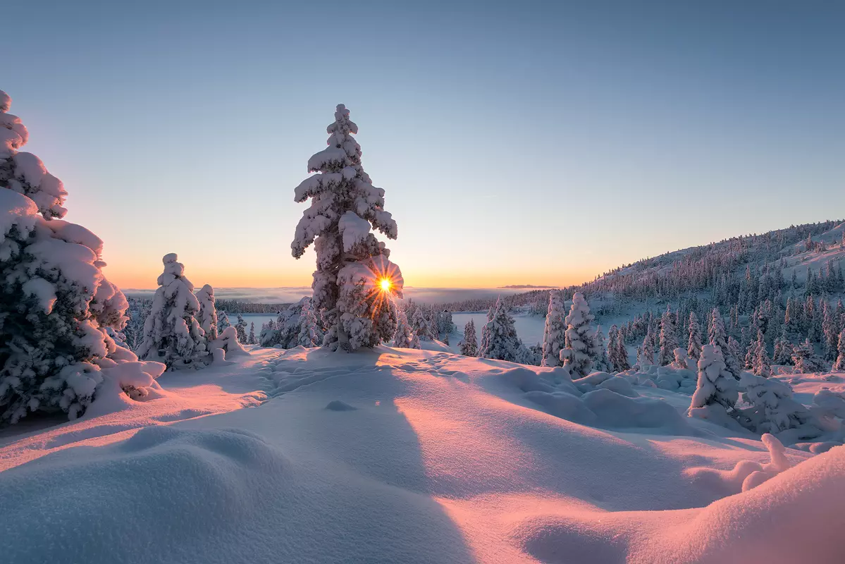 Snow Photography