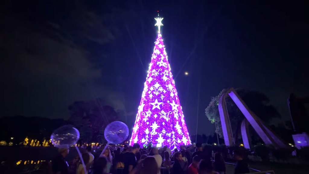 Christmas tree in Ibirapuera Park