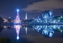 Christmas in Brazil