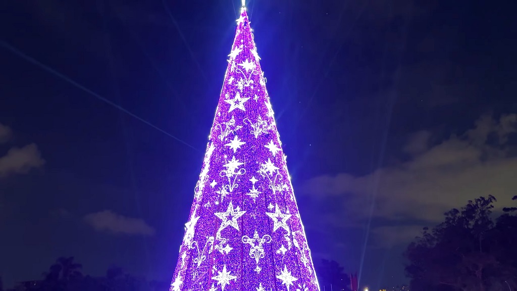 Christmas tree at Ibirapuera Park