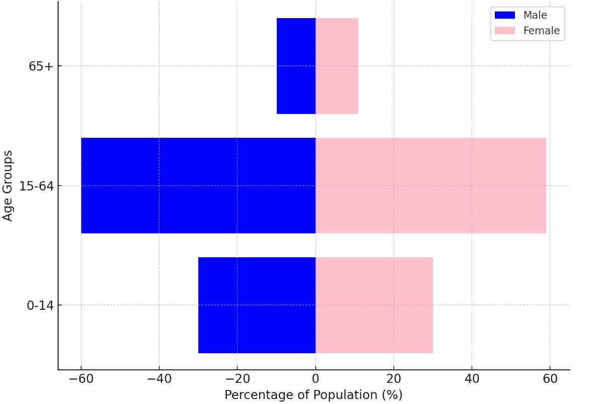 Brazil Population Pyramid