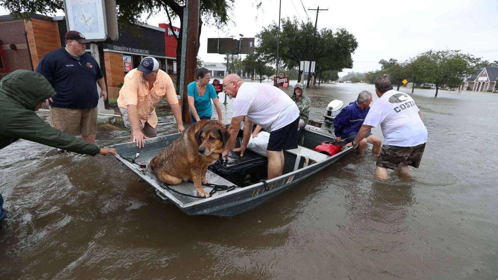 Help Others After Hurricane